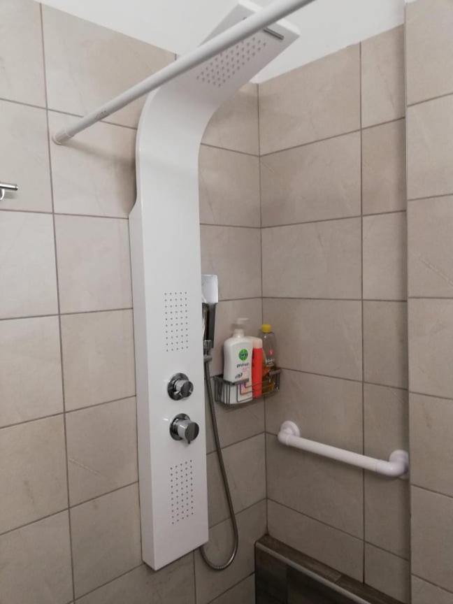 Apartment The Rose Volos